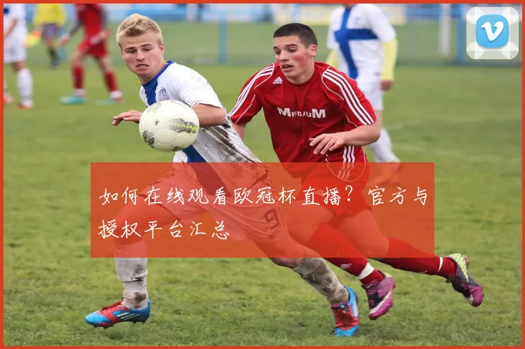 如何在线观看欧冠杯直播？官方与授权平台汇总