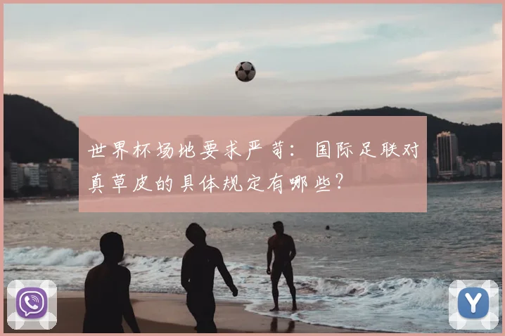 世界杯场地要求严苛：国际足联对真草皮的具体规定有哪些？