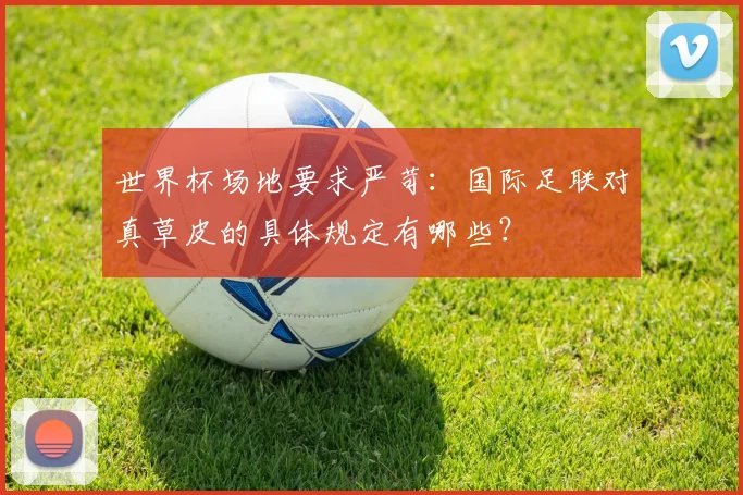 世界杯场地要求严苛：国际足联对真草皮的具体规定有哪些？