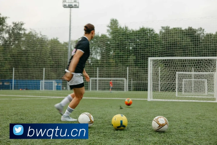 乐鱼官方在线平台入口平台生态图