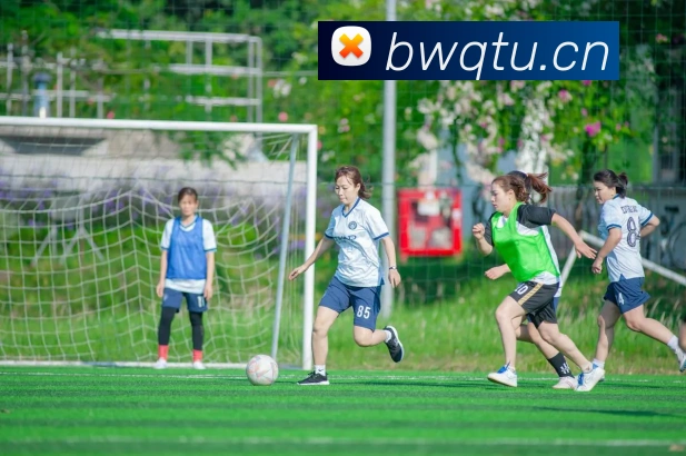 乐鱼官方在线平台入口全站App